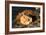 Awesome South Africa Collection - Lion Sleeping at Sunset II-Philippe Hugonnard-Framed Photographic Print