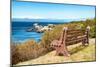 Awesome South Africa Collection - Lonely Bench II-Philippe Hugonnard-Mounted Photographic Print