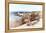 Awesome South Africa Collection - Lonely Bench-Philippe Hugonnard-Framed Premier Image Canvas