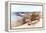 Awesome South Africa Collection - Lonely Bench-Philippe Hugonnard-Framed Premier Image Canvas