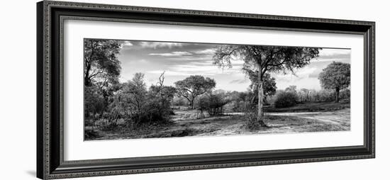 Awesome South Africa Collection Panoramic - African Savannah Landscape B&W-Philippe Hugonnard-Framed Photographic Print