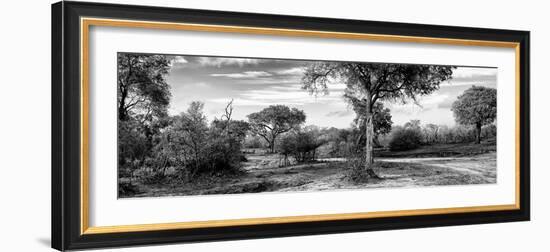 Awesome South Africa Collection Panoramic - African Savannah Landscape B&W-Philippe Hugonnard-Framed Photographic Print