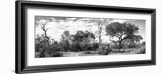 Awesome South Africa Collection Panoramic - African Savannah Landscape II B&W-Philippe Hugonnard-Framed Photographic Print