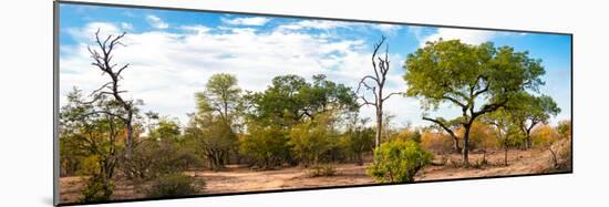 Awesome South Africa Collection Panoramic - African Savannah Landscape III-Philippe Hugonnard-Mounted Photographic Print