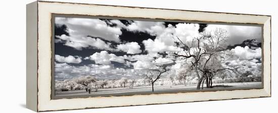 Awesome South Africa Collection Panoramic - Another Look Savannah II-Philippe Hugonnard-Framed Premier Image Canvas