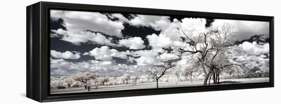 Awesome South Africa Collection Panoramic - Another Look Savannah II-Philippe Hugonnard-Framed Premier Image Canvas