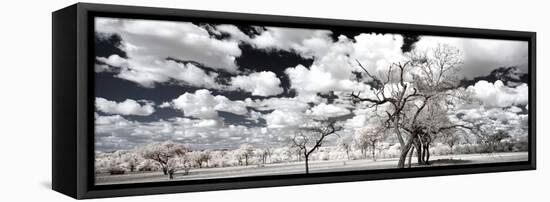 Awesome South Africa Collection Panoramic - Another Look Savannah II-Philippe Hugonnard-Framed Premier Image Canvas