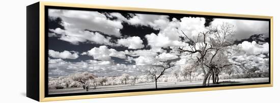 Awesome South Africa Collection Panoramic - Another Look Savannah II-Philippe Hugonnard-Framed Premier Image Canvas