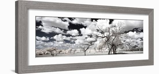 Awesome South Africa Collection Panoramic - Another Look Savannah II-Philippe Hugonnard-Framed Photographic Print