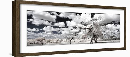 Awesome South Africa Collection Panoramic - Another Look Savannah II-Philippe Hugonnard-Framed Photographic Print