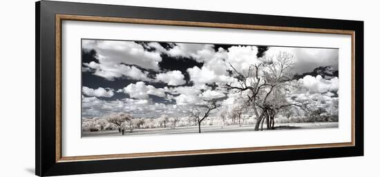 Awesome South Africa Collection Panoramic - Another Look Savannah II-Philippe Hugonnard-Framed Photographic Print
