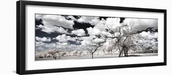 Awesome South Africa Collection Panoramic - Another Look Savannah II-Philippe Hugonnard-Framed Photographic Print