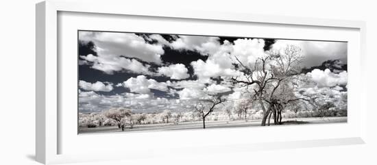 Awesome South Africa Collection Panoramic - Another Look Savannah II-Philippe Hugonnard-Framed Photographic Print