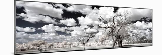 Awesome South Africa Collection Panoramic - Another Look Savannah II-Philippe Hugonnard-Mounted Photographic Print