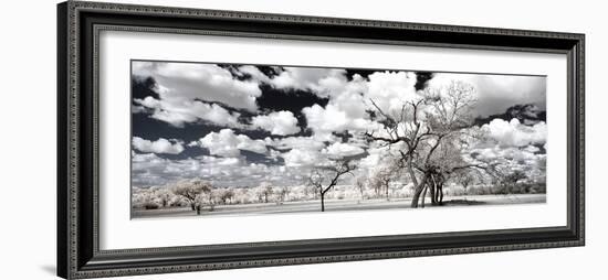 Awesome South Africa Collection Panoramic - Another Look Savannah II-Philippe Hugonnard-Framed Photographic Print