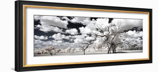 Awesome South Africa Collection Panoramic - Another Look Savannah II-Philippe Hugonnard-Framed Photographic Print