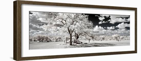 Awesome South Africa Collection Panoramic - Another Look Savannah-Philippe Hugonnard-Framed Photographic Print