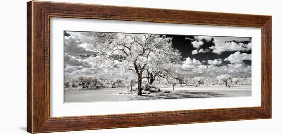 Awesome South Africa Collection Panoramic - Another Look Savannah-Philippe Hugonnard-Framed Photographic Print