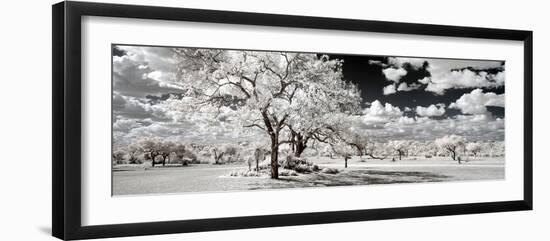 Awesome South Africa Collection Panoramic - Another Look Savannah-Philippe Hugonnard-Framed Photographic Print
