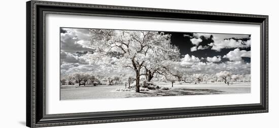 Awesome South Africa Collection Panoramic - Another Look Savannah-Philippe Hugonnard-Framed Photographic Print