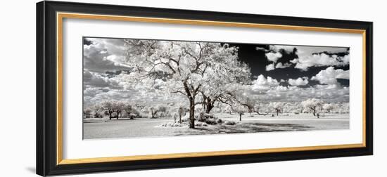 Awesome South Africa Collection Panoramic - Another Look Savannah-Philippe Hugonnard-Framed Photographic Print