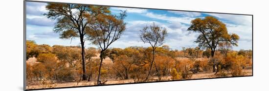 Awesome South Africa Collection Panoramic - Beautiful Savannah Landscape II-Philippe Hugonnard-Mounted Photographic Print