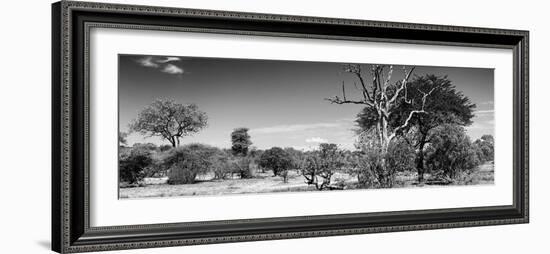 Awesome South Africa Collection Panoramic - Beautiful Savannah Landscape IV B&W-Philippe Hugonnard-Framed Photographic Print