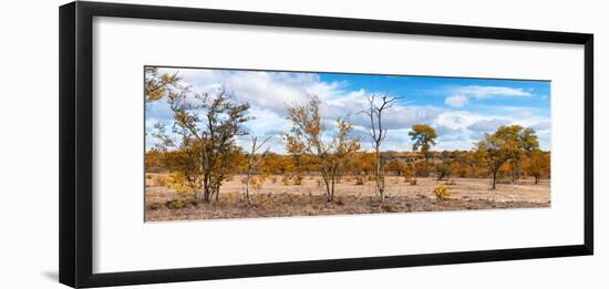 Awesome South Africa Collection Panoramic Beautiful Savannah