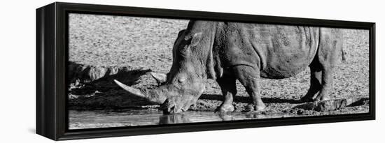 Awesome South Africa Collection Panoramic - Black Rhino B&W III-Philippe Hugonnard-Framed Premier Image Canvas