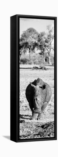 Awesome South Africa Collection Panoramic - Black Rhino B&W-Philippe Hugonnard-Framed Premier Image Canvas