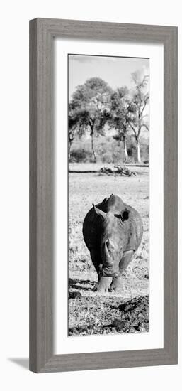 Awesome South Africa Collection Panoramic - Black Rhino B&W-Philippe Hugonnard-Framed Photographic Print