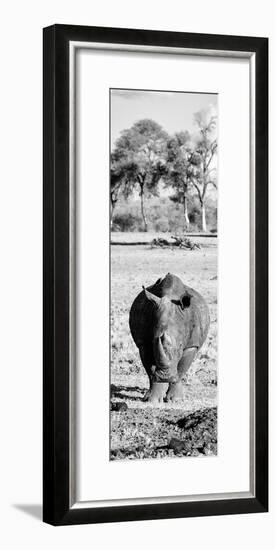 Awesome South Africa Collection Panoramic - Black Rhino B&W-Philippe Hugonnard-Framed Photographic Print