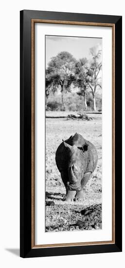 Awesome South Africa Collection Panoramic - Black Rhino B&W-Philippe Hugonnard-Framed Photographic Print