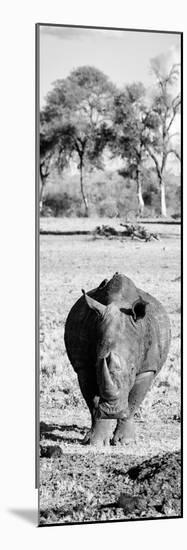 Awesome South Africa Collection Panoramic - Black Rhino B&W-Philippe Hugonnard-Mounted Photographic Print