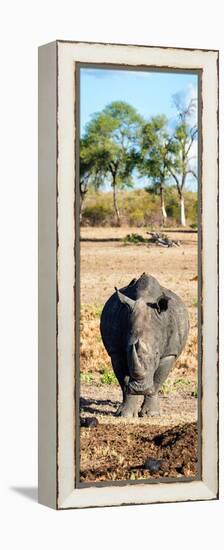 Awesome South Africa Collection Panoramic - Black Rhino-Philippe Hugonnard-Framed Premier Image Canvas