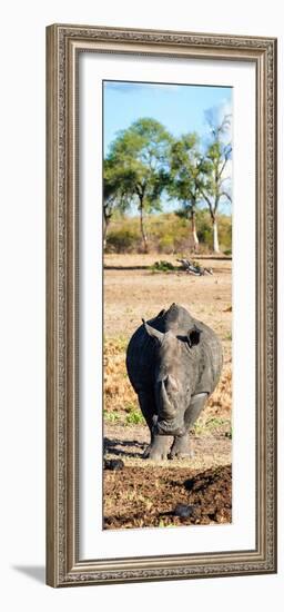 Awesome South Africa Collection Panoramic - Black Rhino-Philippe Hugonnard-Framed Photographic Print