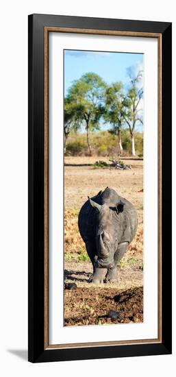 Awesome South Africa Collection Panoramic - Black Rhino-Philippe Hugonnard-Framed Photographic Print