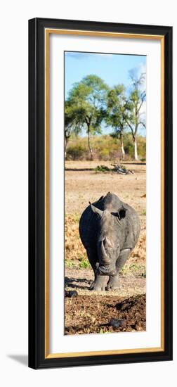 Awesome South Africa Collection Panoramic - Black Rhino-Philippe Hugonnard-Framed Photographic Print