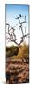 Awesome South Africa Collection Panoramic - Cape Vulture on a Tree at Sunrise-Philippe Hugonnard-Mounted Photographic Print