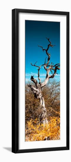 Awesome South Africa Collection Panoramic - Dead Tree II-Philippe Hugonnard-Framed Photographic Print