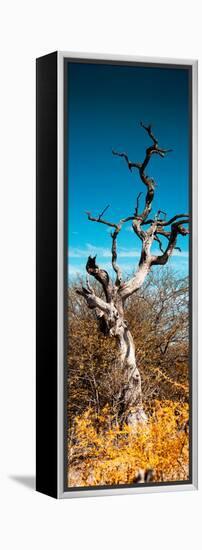 Awesome South Africa Collection Panoramic - Dead Tree II-Philippe Hugonnard-Framed Premier Image Canvas