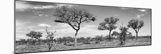 Awesome South Africa Collection Panoramic - Natural Beauty in Africa B&W-Philippe Hugonnard-Mounted Photographic Print