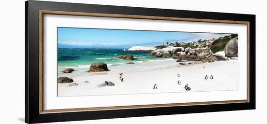 Awesome South Africa Collection Panoramic - Penguins at Boulders Beach II-Philippe Hugonnard-Framed Photographic Print