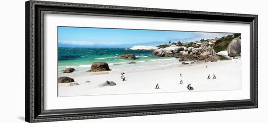 Awesome South Africa Collection Panoramic - Penguins at Boulders Beach II-Philippe Hugonnard-Framed Photographic Print