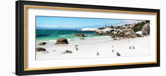 Awesome South Africa Collection Panoramic - Penguins at Boulders Beach II-Philippe Hugonnard-Framed Photographic Print