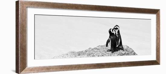 Awesome South Africa Collection Panoramic - Penguins Kissing B&W-Philippe Hugonnard-Framed Photographic Print