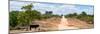 Awesome South Africa Collection Panoramic - Road in the Savannah-Philippe Hugonnard-Mounted Photographic Print