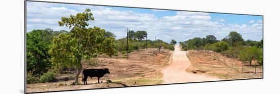 Awesome South Africa Collection Panoramic - Road in the Savannah-Philippe Hugonnard-Mounted Photographic Print
