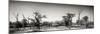 Awesome South Africa Collection Panoramic - Savanna in Kruger Park II-Philippe Hugonnard-Mounted Photographic Print