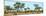 Awesome South Africa Collection Panoramic - Savanna Landscape-Philippe Hugonnard-Mounted Photographic Print